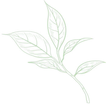 Hangzhou Baoda Tea Co., Ltd.