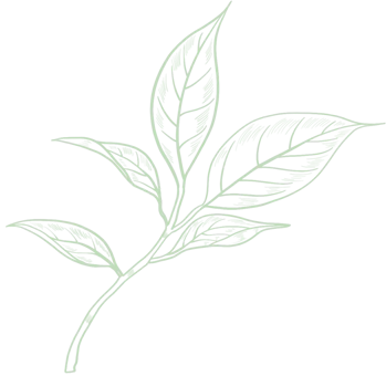 Hangzhou Baoda Tea Co., Ltd.
